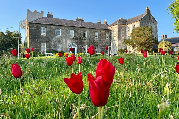 Ballymaloe building in ireland with tulips out front